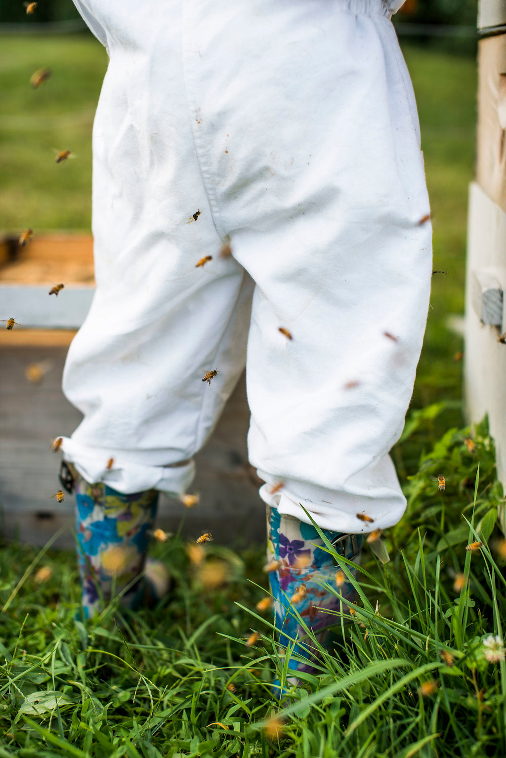 Beekeeping Tour - June 14, 2025