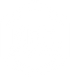 Bee. honey + hive